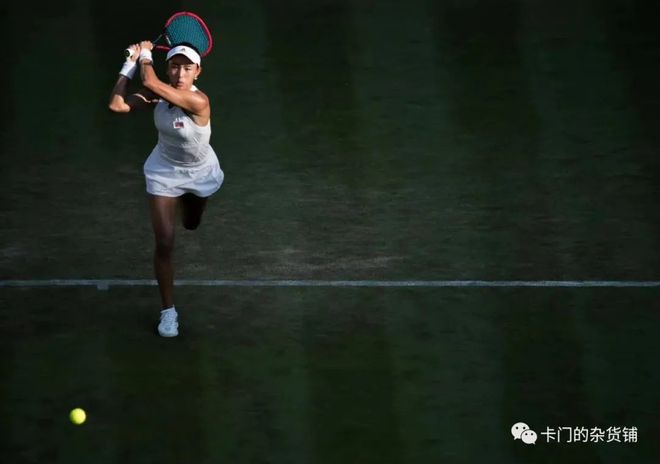 他将数据分 他将数据分