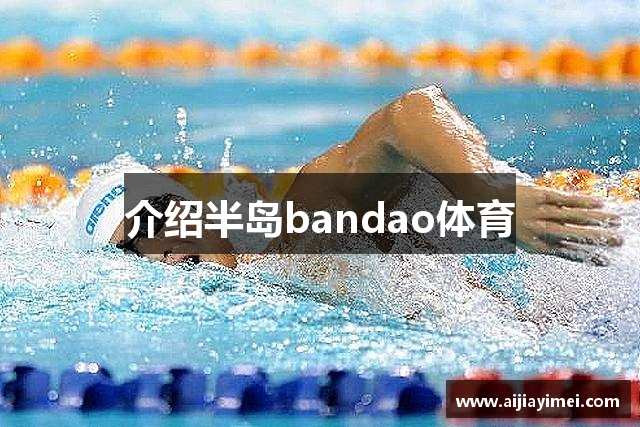 介绍半岛bandao体育